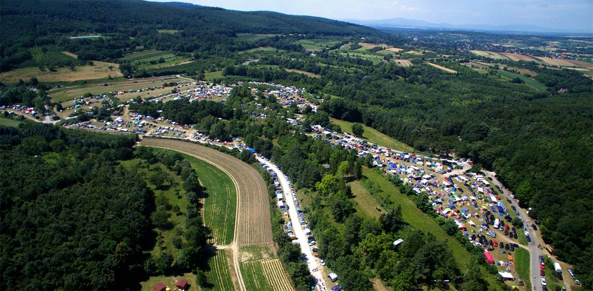 Wiesen